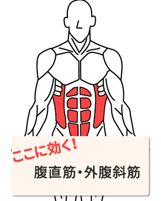 効く部位:腹直筋・外腹斜筋